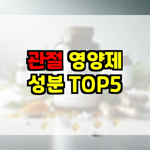 관절 영양제 성분 TOP5