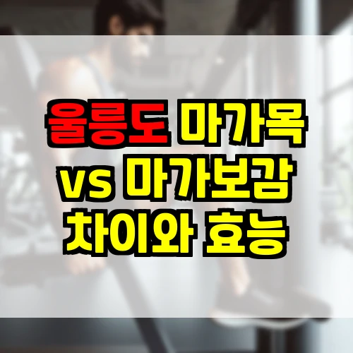 울릉도 마가목 vs 마가보감 차이와 효능